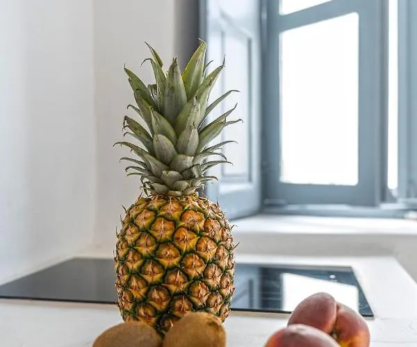 Paradeisos Apartamento